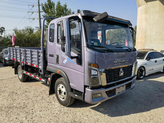 New Howo 160HP Flatbed Truck for Sale rear side view
