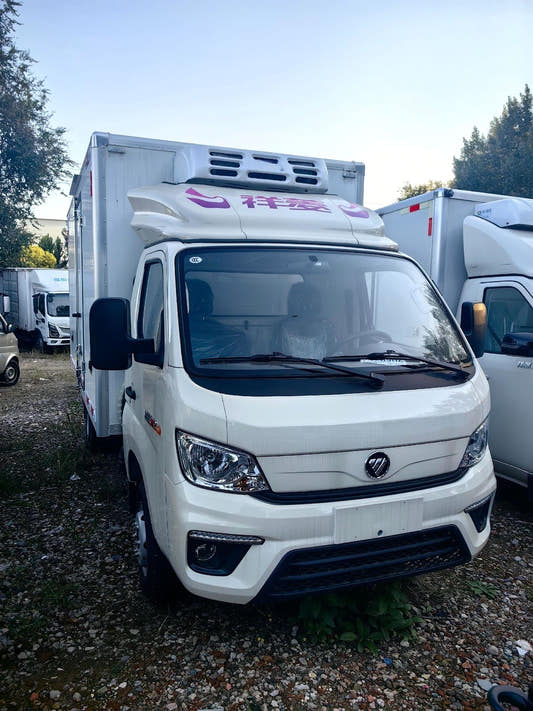 Used Foton 122HP Refrigerated Truck for Sale rear side view