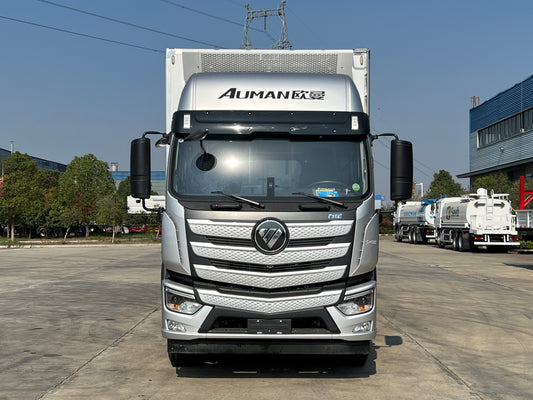 Used Foton AUMAN 41M³ Refrigerated Truck for Sale rear side view