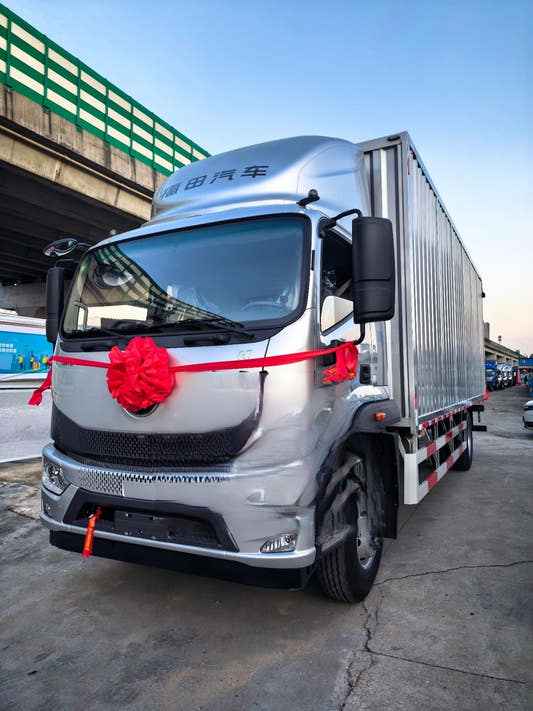 New Foton 240HP Van Truck for Sale rear side view