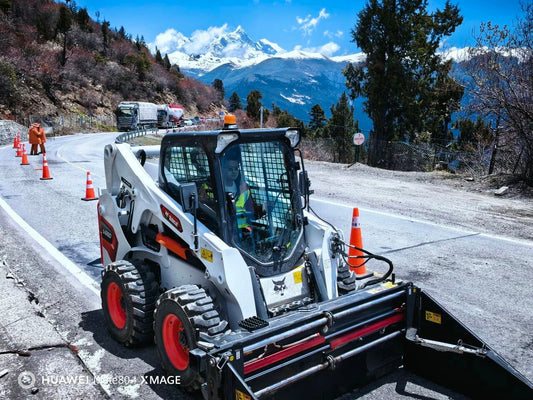 Bobcat Dancing Alone on Sky Road, No Altitude Sickness