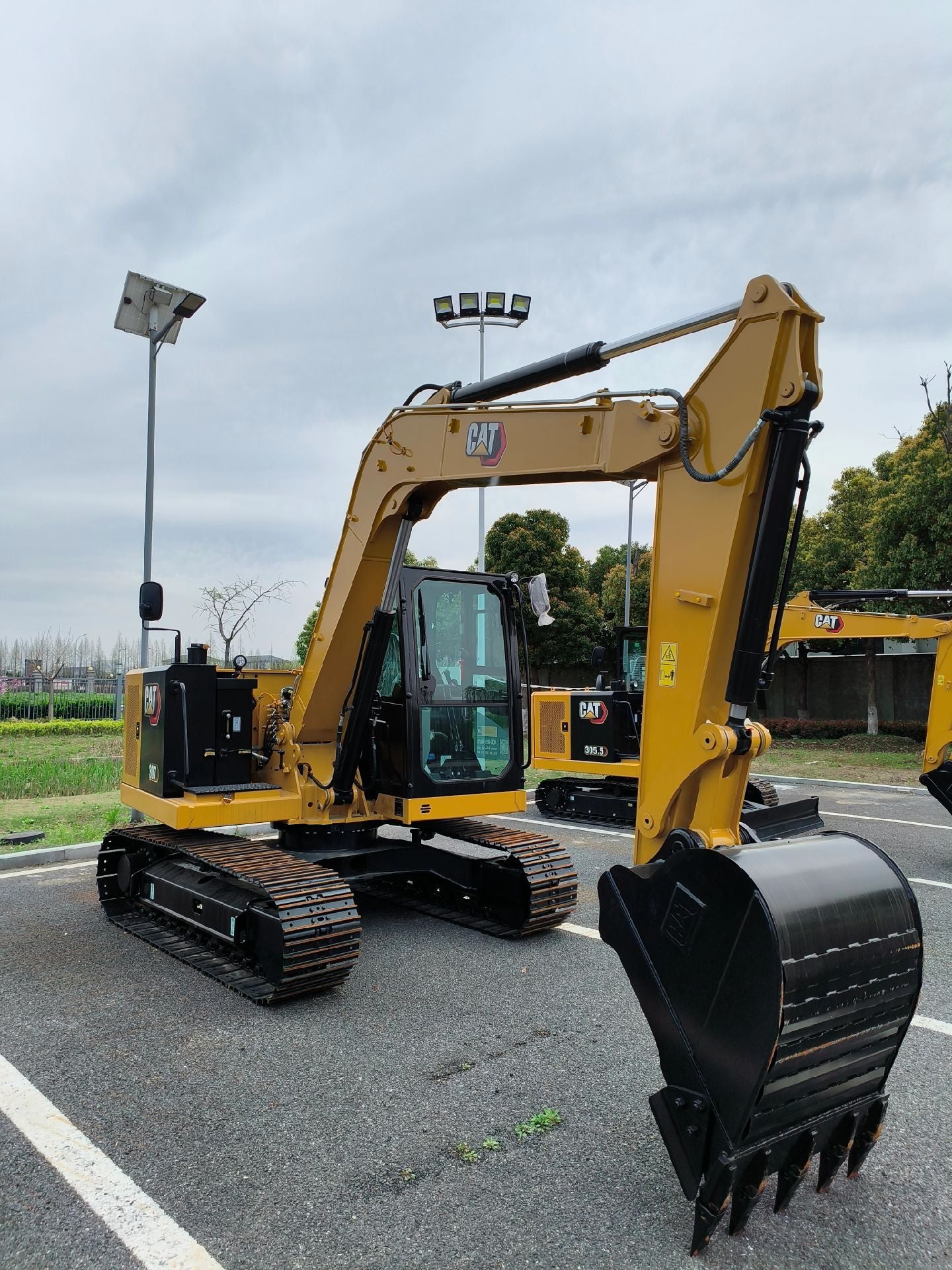 NEW CAT 307
