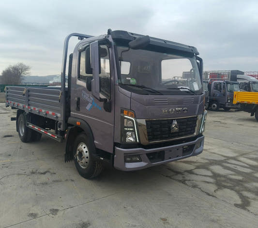 New Howo 170HP Flatbed Truck for Sale rear side view