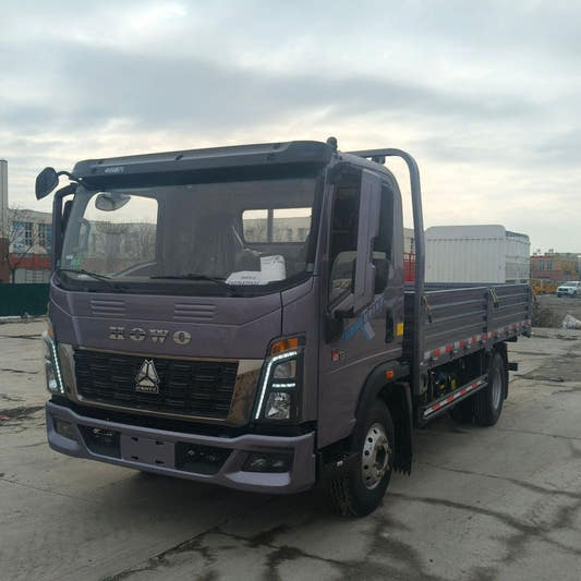 New Howo 170HP Flatbed Truck for Sale side view