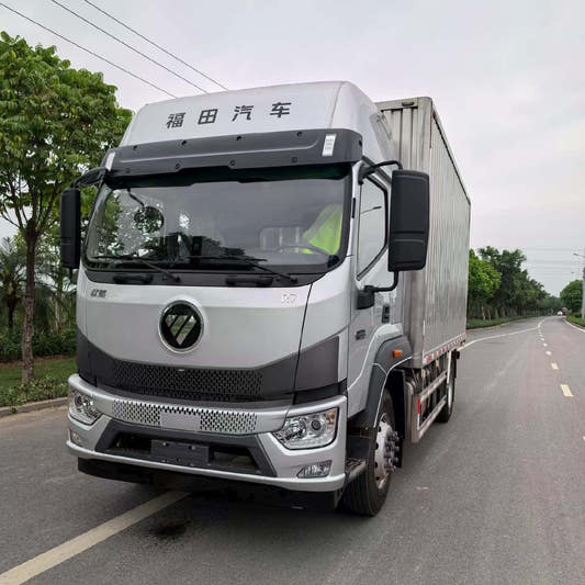 New Foton 280HP Van Truck for Sale side view