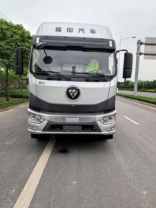 New Foton 280HP Van Truck for Sale rear side view