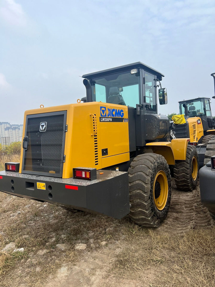 Cargadora de ruedas XCMG LW300FN usada en venta | Precio XCMG LW300FN foto de detalle 4