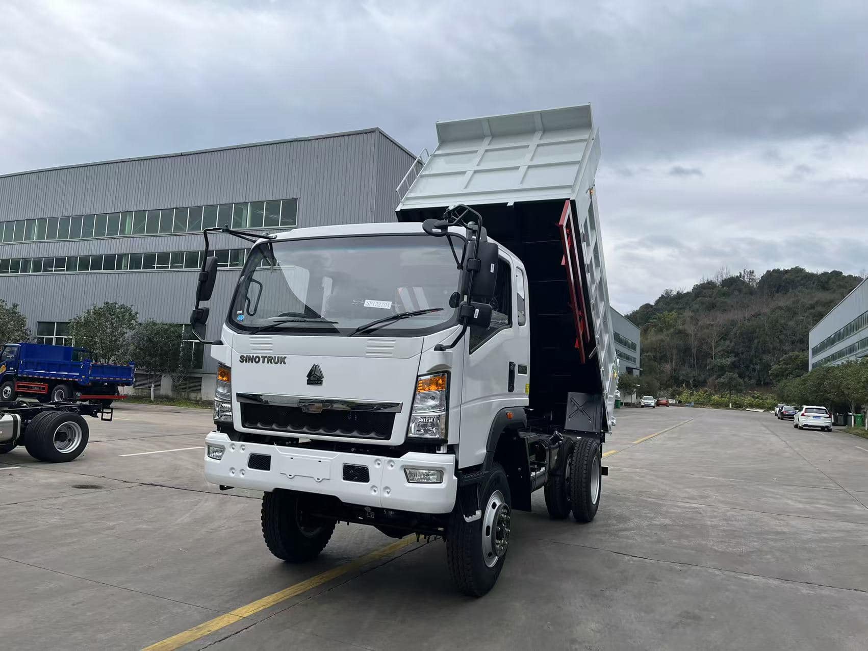 New Sinotruk 160HP Dump Truck for Sale rear side view