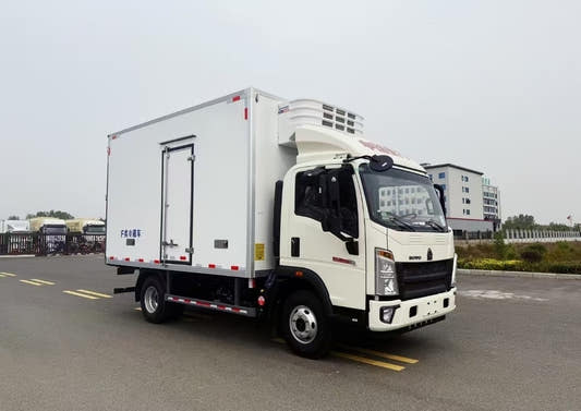 Used Sinotruk HOWO HANJANG 4.2M Refrigerated Truck for Sale rear side view