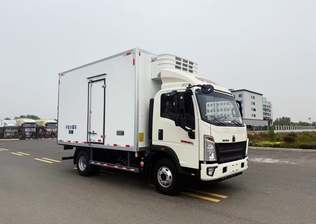Used Sinotruk HOWO HANJANG 4.2M Refrigerated Truck for Sale rear side view
