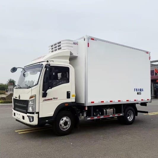 Used Sinotruk HOWO HANJANG 4.2M Refrigerated Truck for Sale side view
