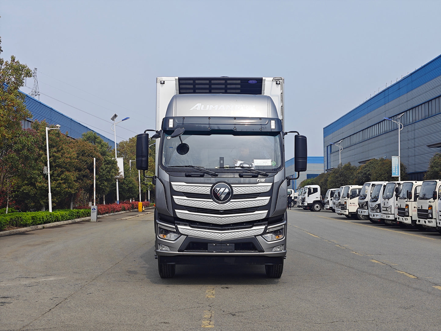 Used Foton AUMAN 42M³ Refrigerated Truck for Sale rear side view