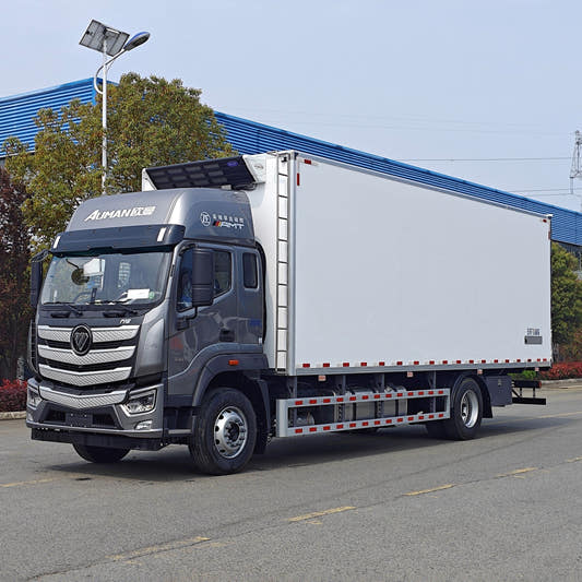 Used Foton AUMAN 42M³ Refrigerated Truck for Sale side view
