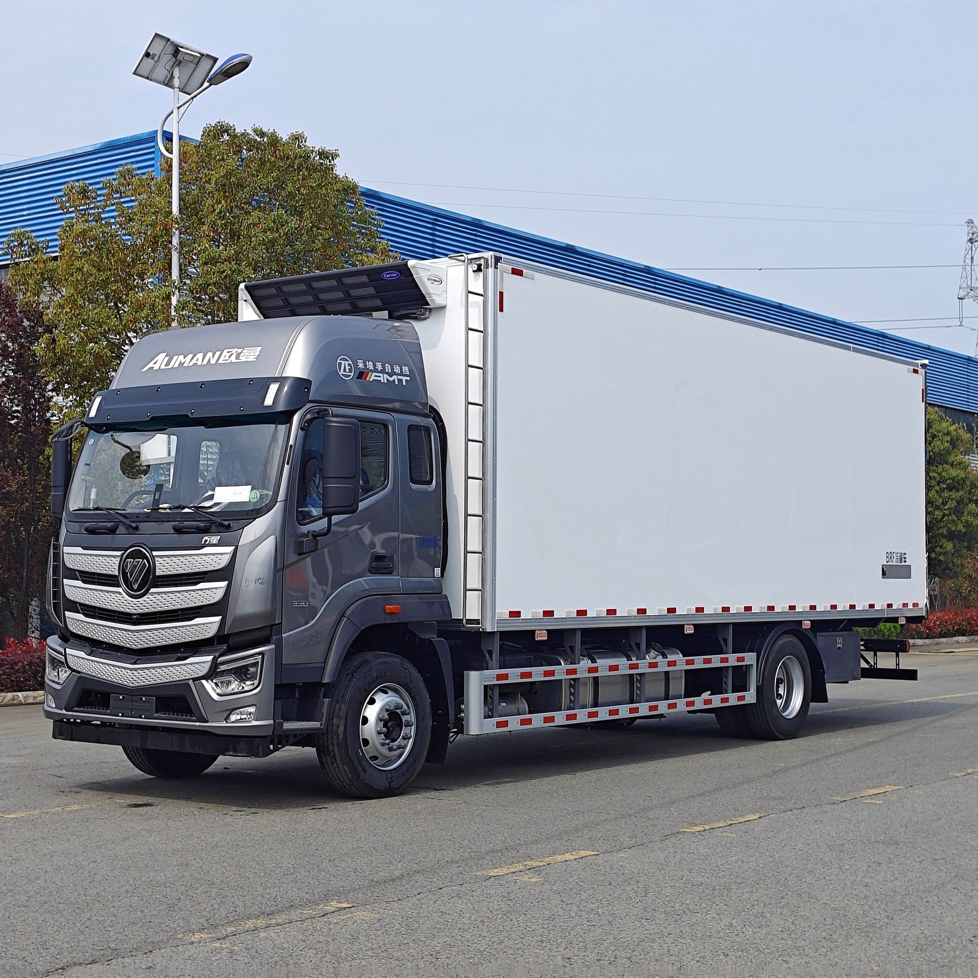 Used Foton AUMAN 42M³ Refrigerated Truck for Sale side view