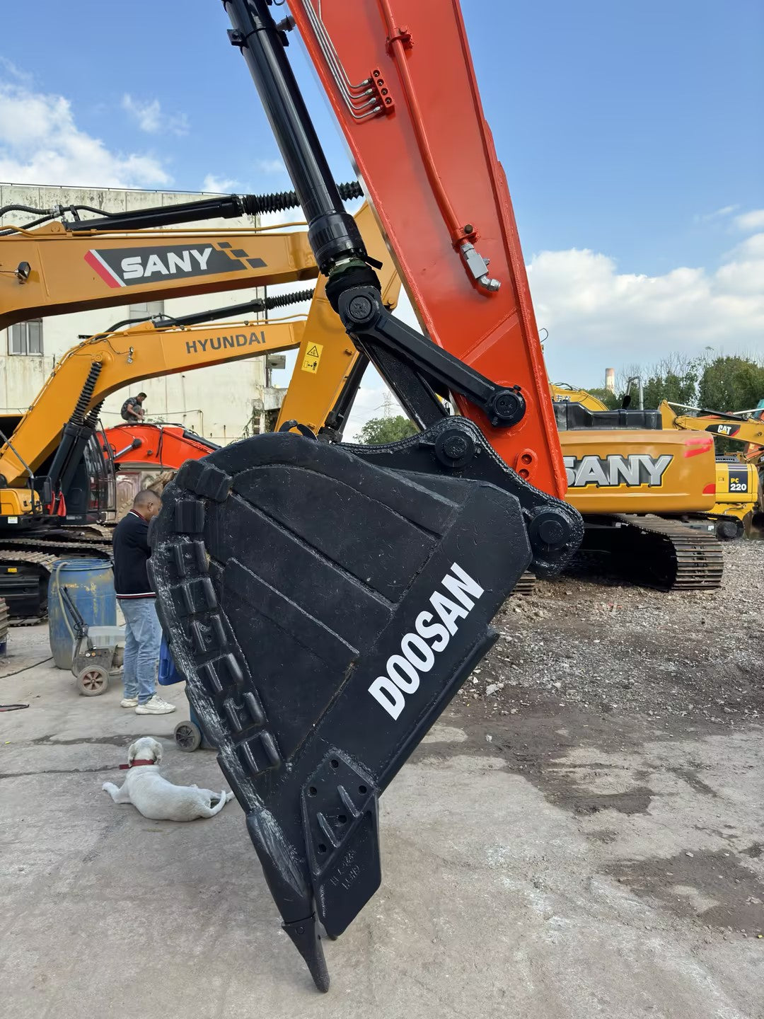 Used Doosan DX300LC Excavator for Sale detail view